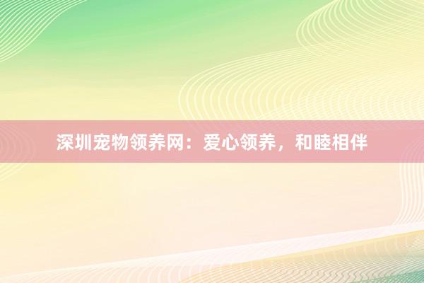 深圳宠物领养网：爱心领养，和睦相伴